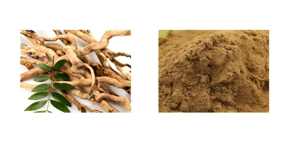 Eurycoma longifolia Extract Powder Eurycoma longifolia Extract Powder