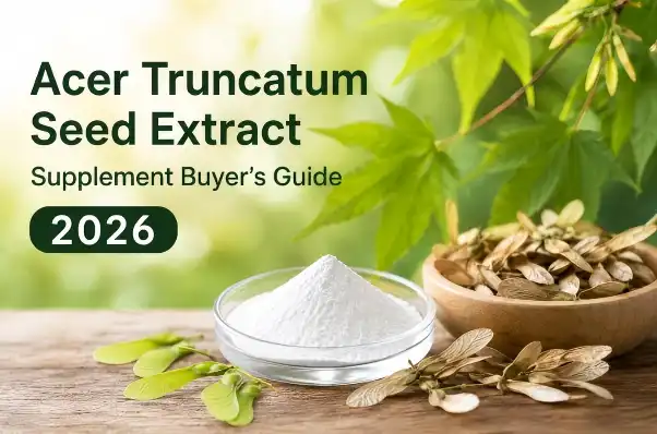 Acer Truncatum Seed Extract Acer Truncatum Seed Extract