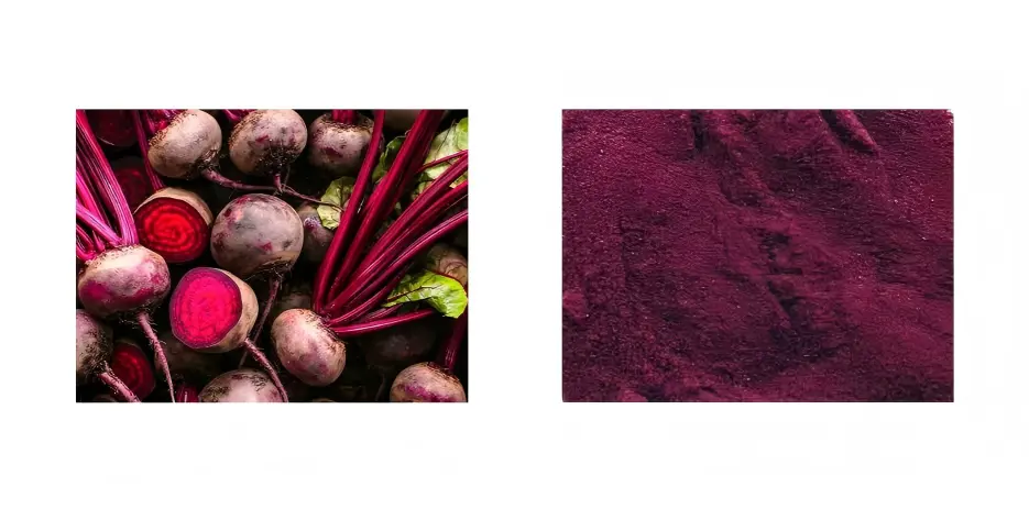 Beetroot Red Beetroot Red