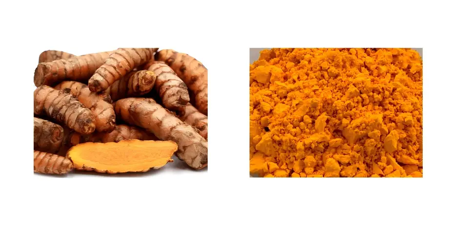 Curcumin Curcumin