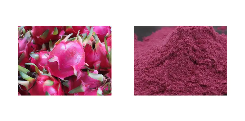 Dragon Fruit Powder Dragon Fruit Powder