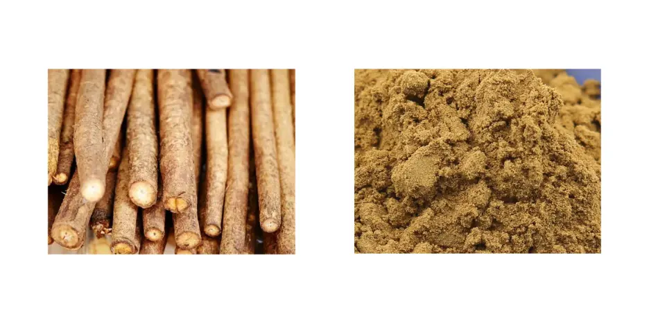 Burdock Extract Powder Burdock Extract Powder