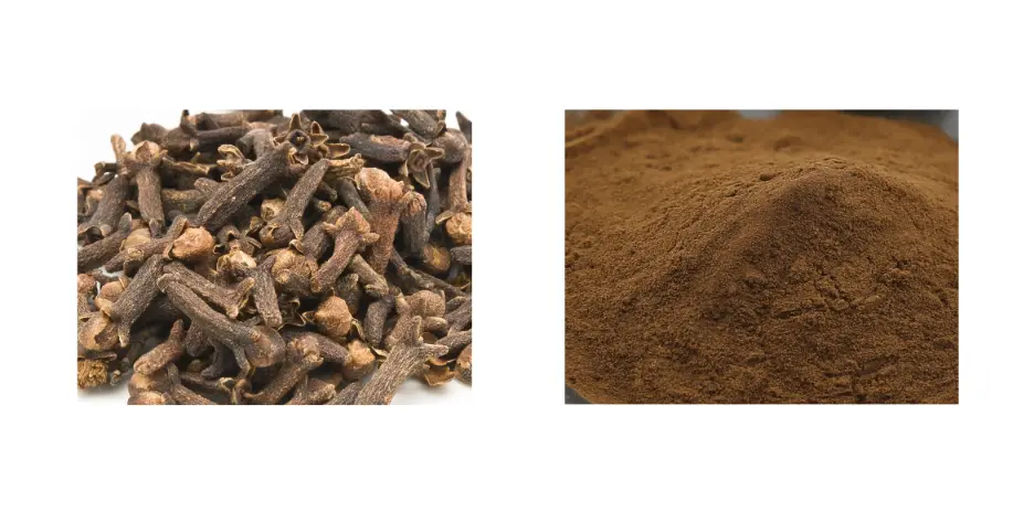 Clove Extract Clove Extract