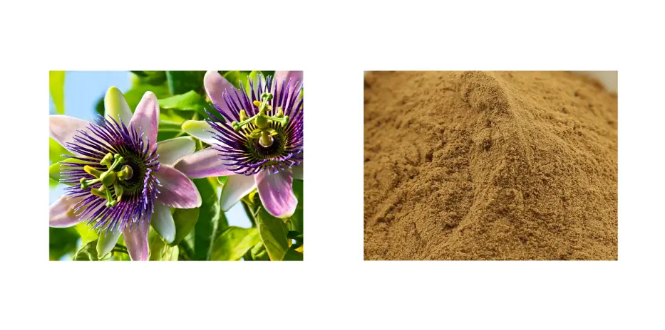 Passionflower Extract Passionflower Extract