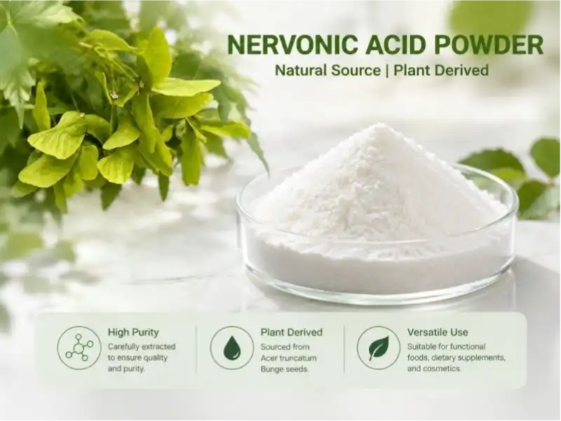 What is Nervonic Acid Powder Used For?