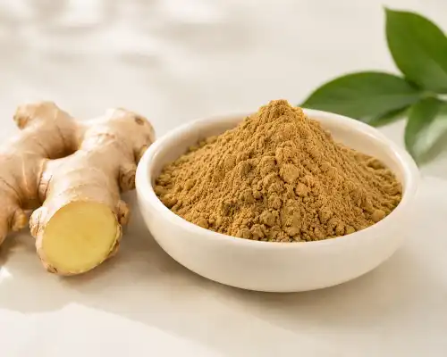 Ginger Extract: A Hidden Gem in Dietary Supplements