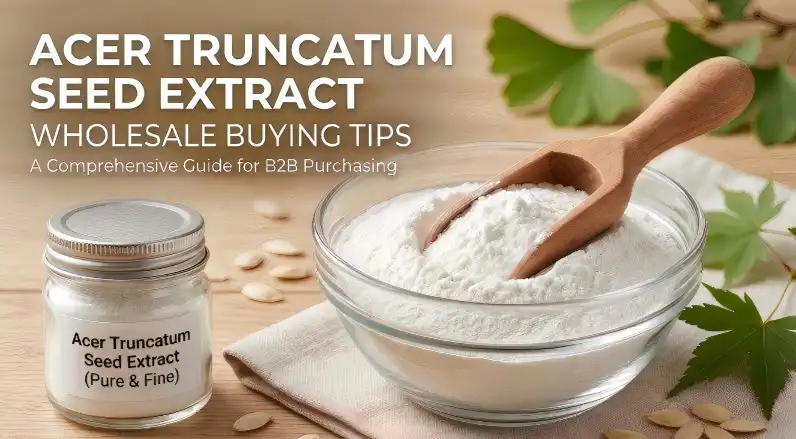 Acer Truncatum Seed Extract Wholesale Buying Tips