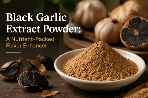 Black Garlic Extract Powder: A Nutrient-Packed Flavor Enhancer