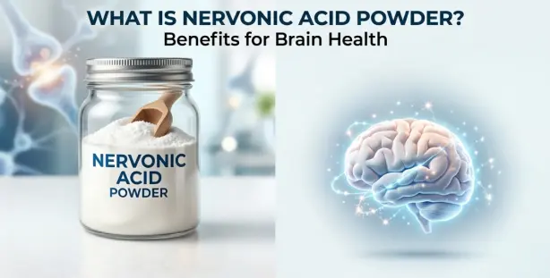 What Is Nervonic Acid Powder? Benefits for Brain Health