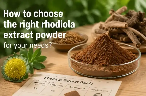 Yuav ua li cas xaiv cov hmoov rhodiola extract kom raug rau koj cov kev xav tau?