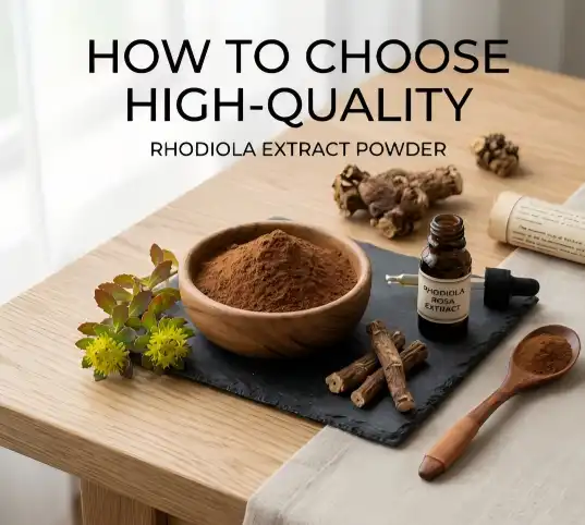 How to choose high-quality rhodiola extract powder