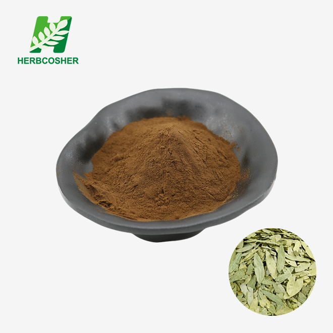 Pudră de extract de frunze de Senna